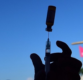 vaccini5   Copia copy